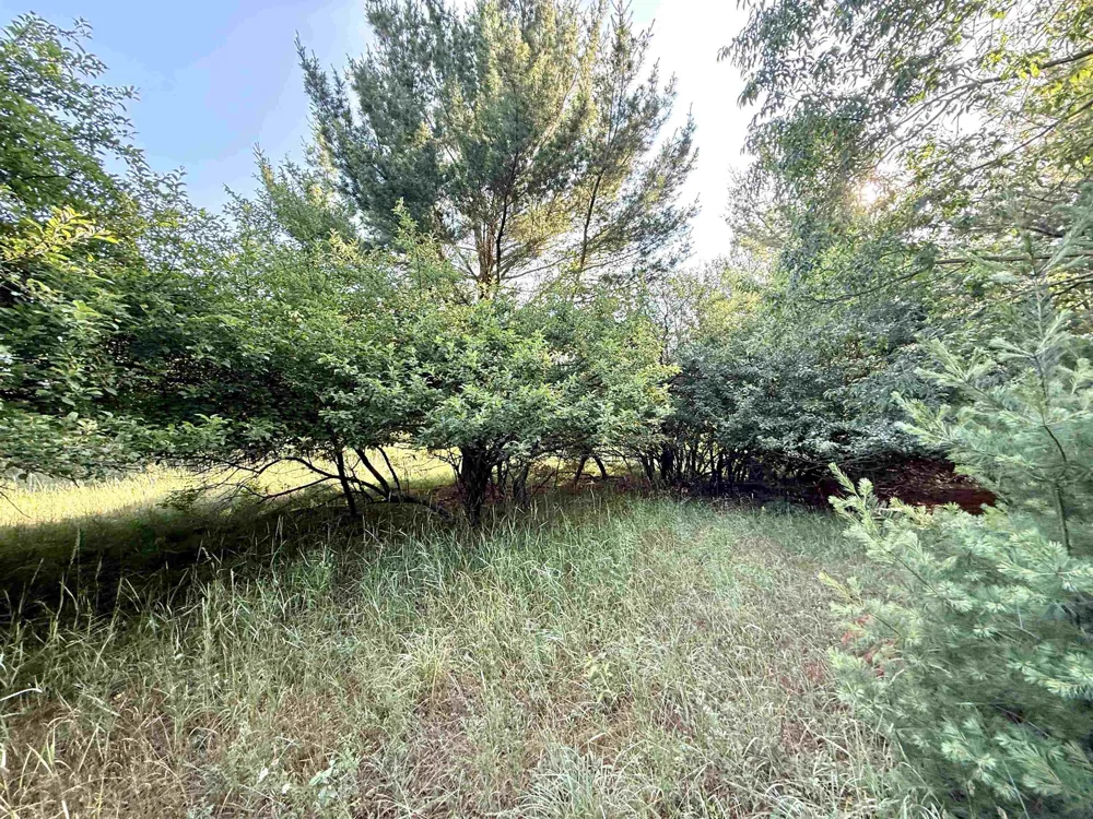 15 S Westview Drive Empire Township, MI 49630