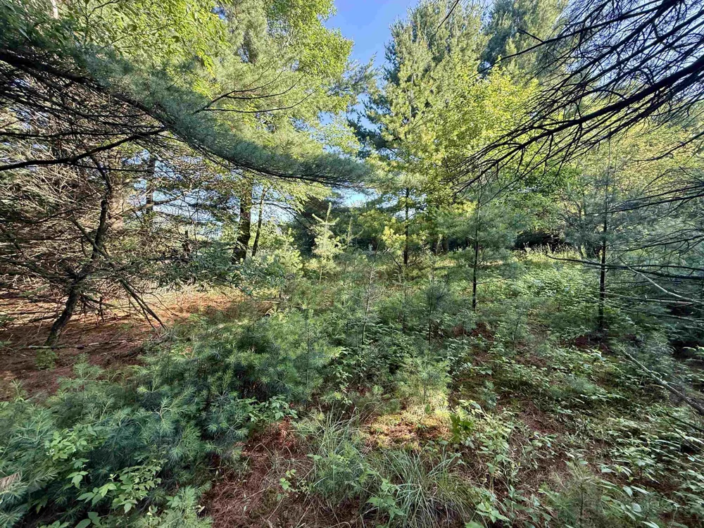 15 S Westview Drive Empire Township, MI 49630