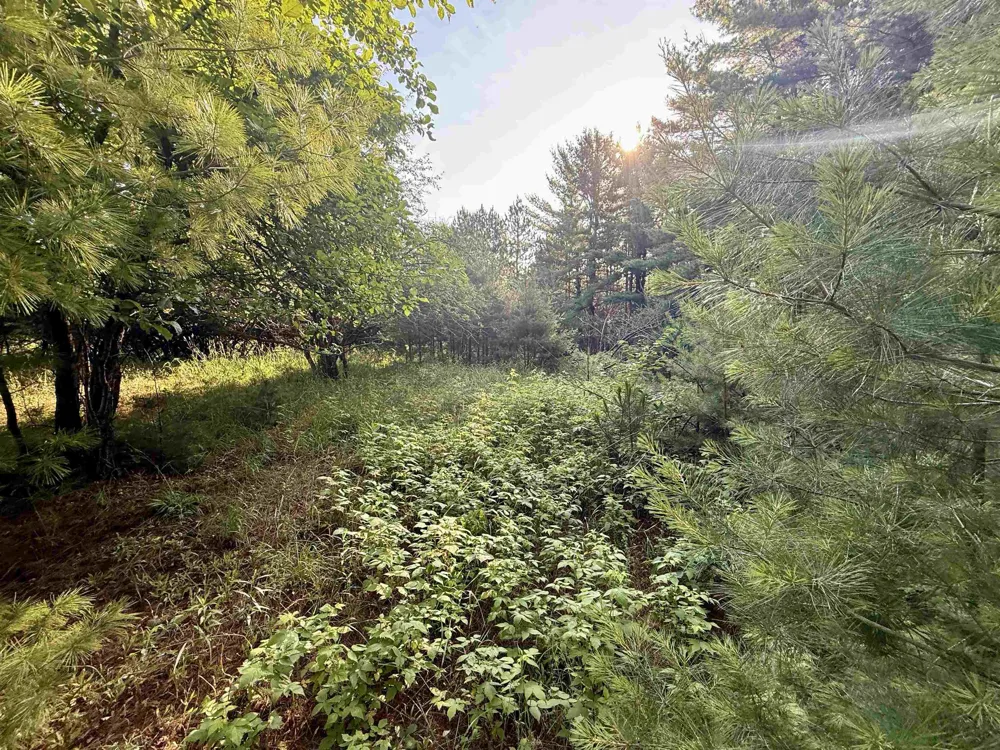 15 S Westview Drive Empire Township, MI 49630