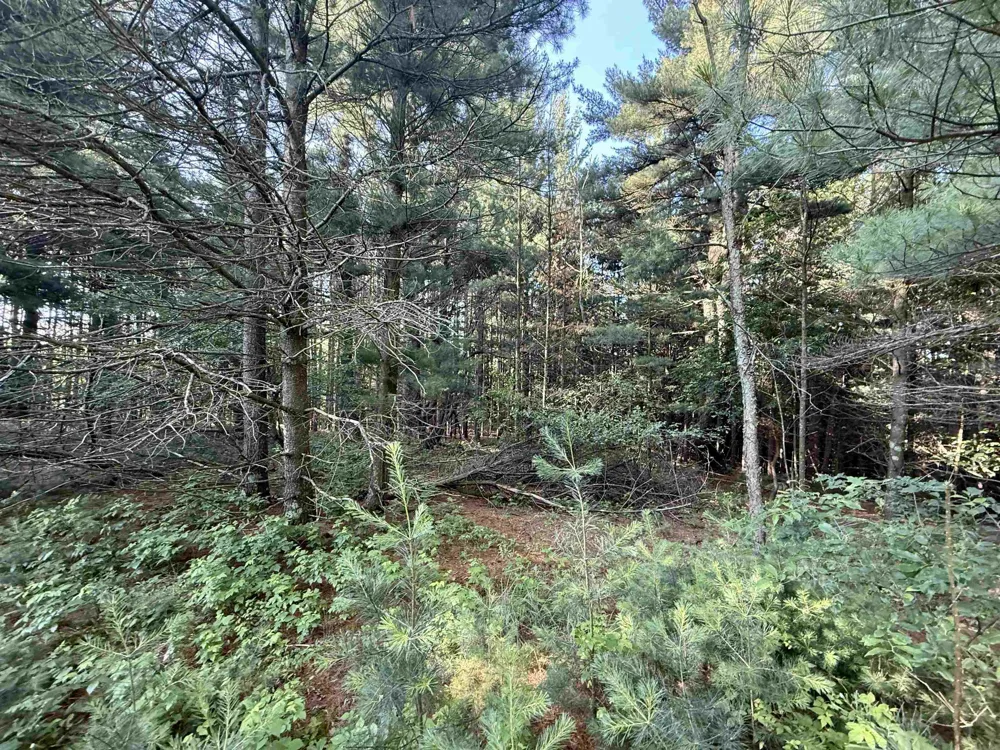 15 S Westview Drive Empire Township, MI 49630