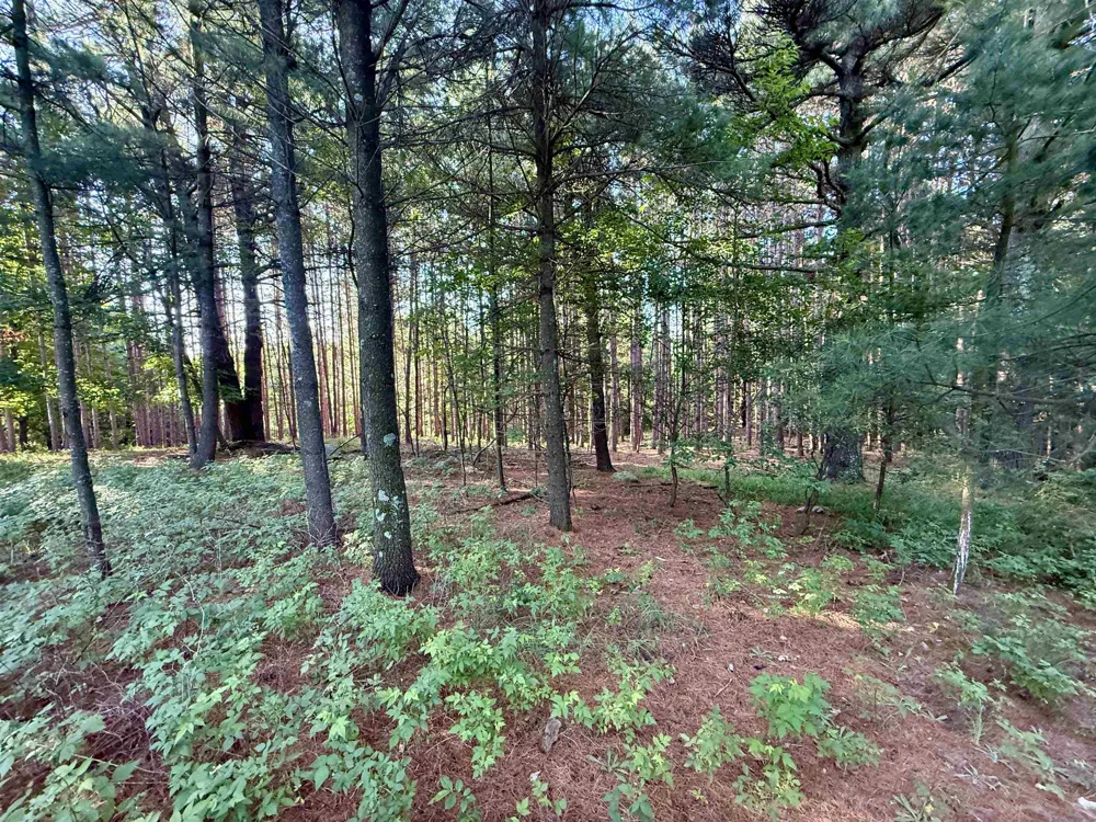 15 S Westview Drive Empire Township, MI 49630