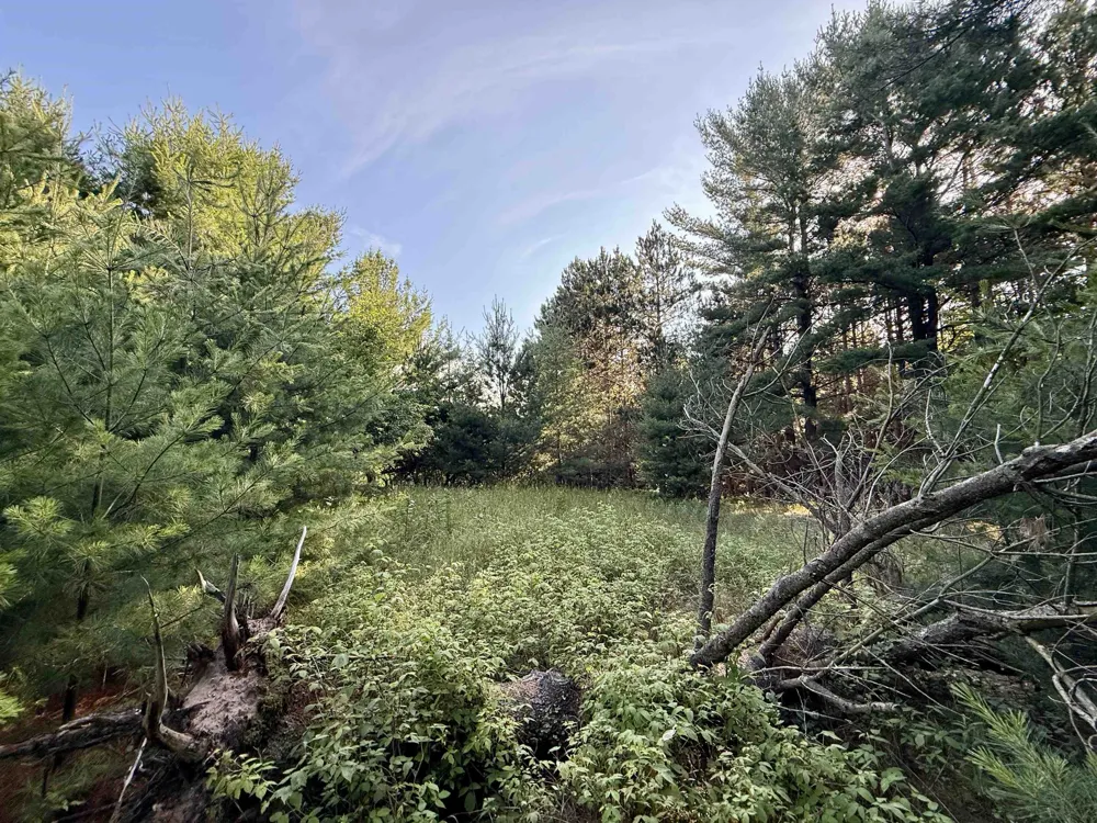 15 S Westview Drive Empire Township, MI 49630