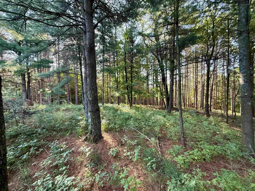 15 S Westview Drive Empire Township, MI 49630