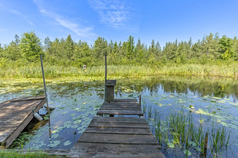 22713 Pogy Lake Drive Chippewa Township, MI 49631