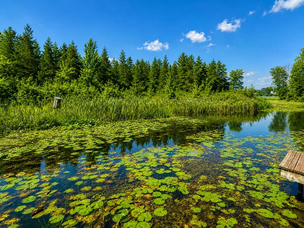 22713 Pogy Lake Drive Chippewa Township, MI 49631