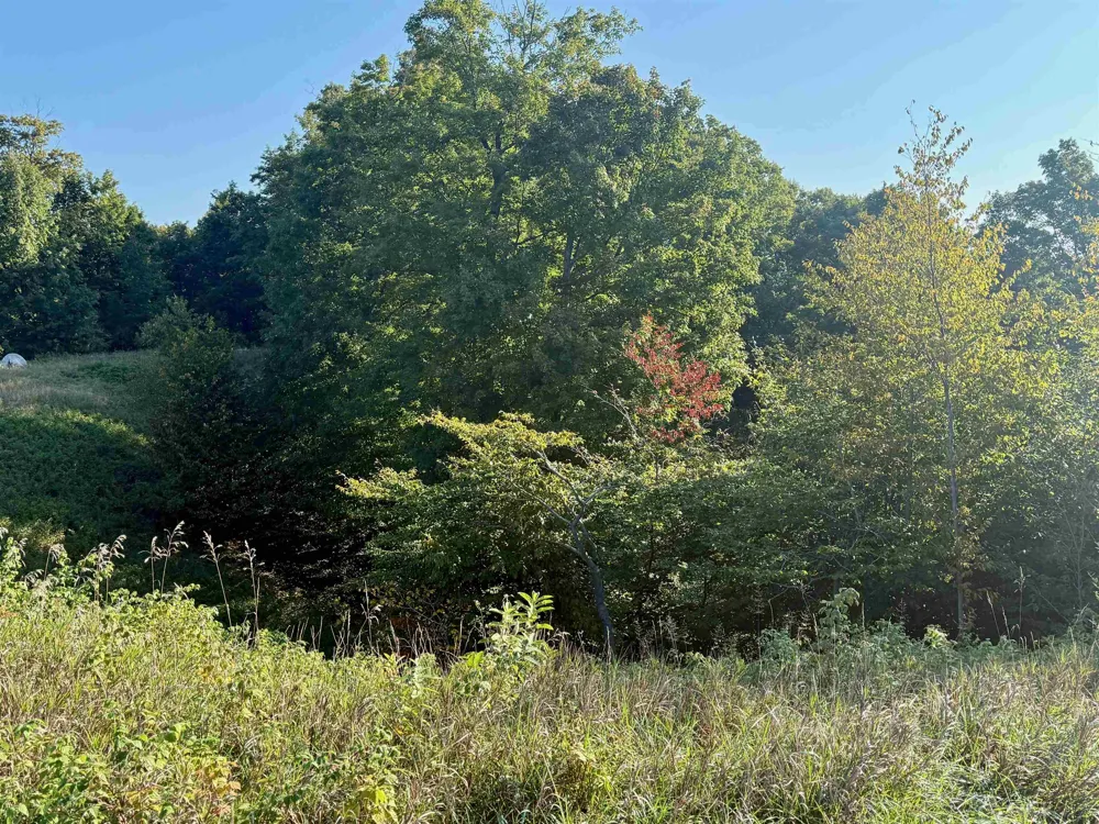 W Timber Wolf Court Empire Township, MI 49630