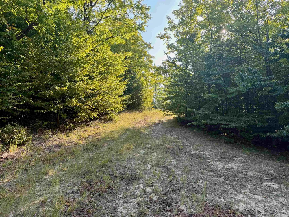 W Timber Wolf Court Empire Township, MI 49630