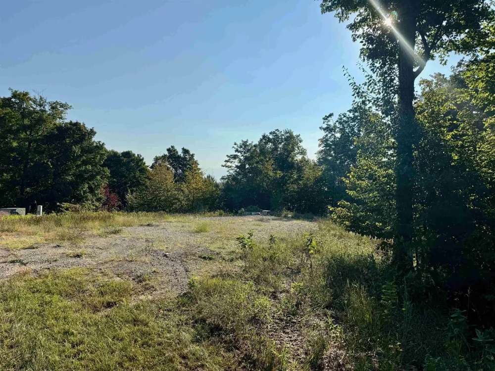 W Timber Wolf Court Empire Township, MI 49630