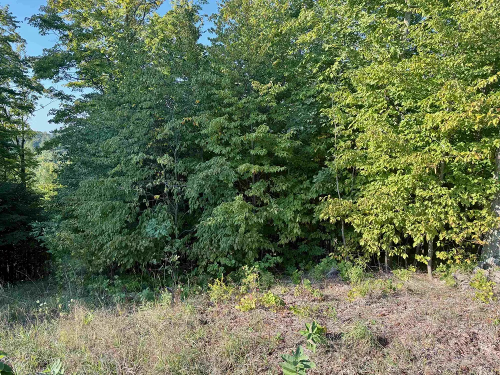 W Timber Wolf Court Empire Township, MI 49630