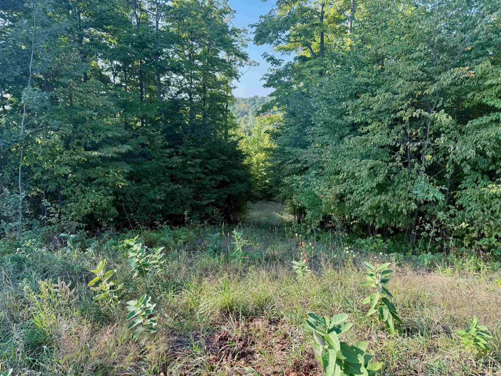 W Timber Wolf Court Empire Township, MI 49630