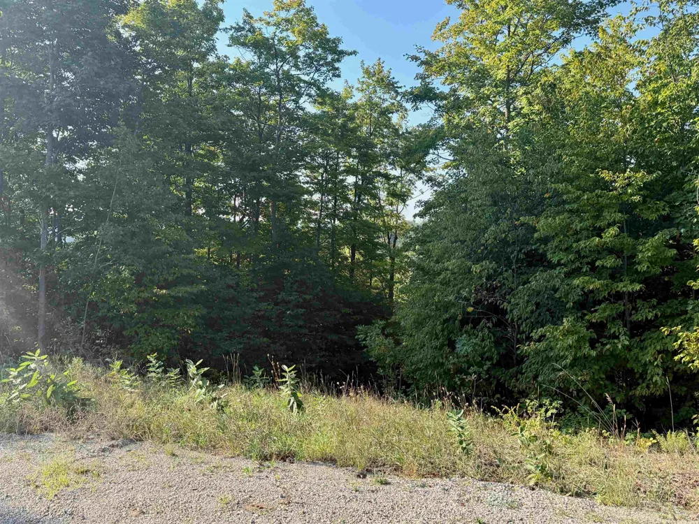 W Timber Wolf Court Empire Township, MI 49630
