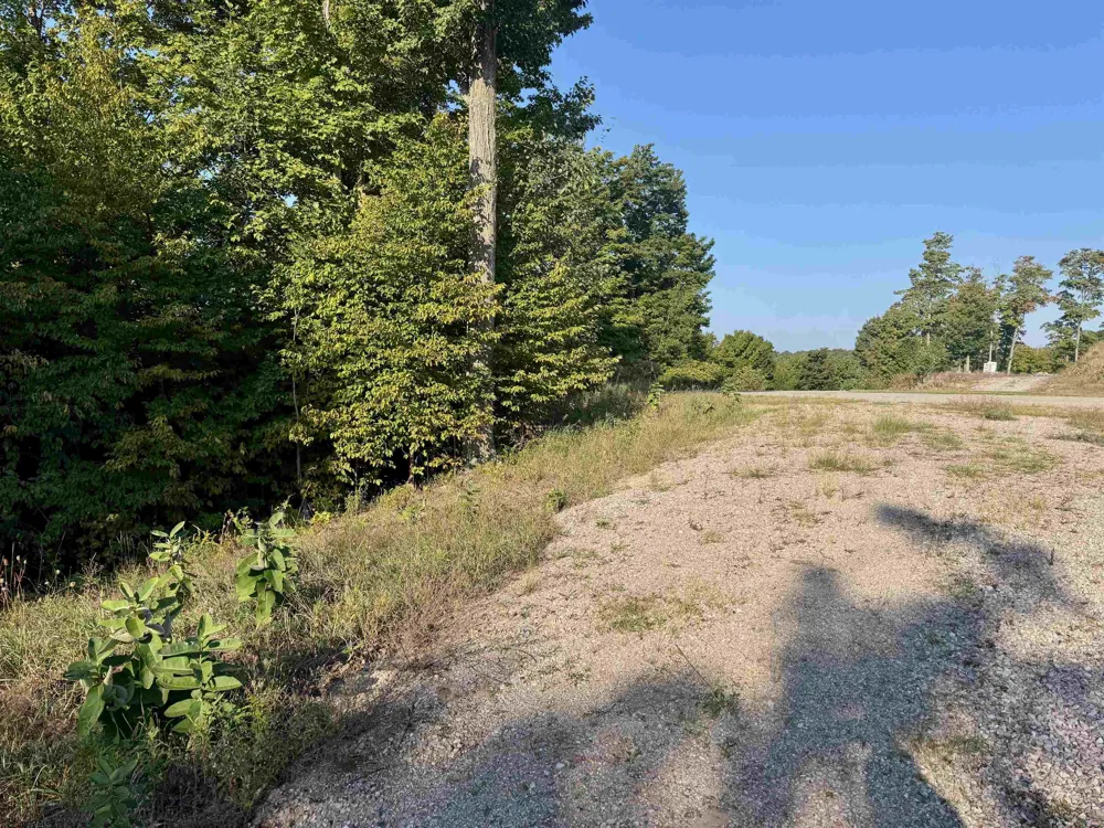 W Timber Wolf Court Empire Township, MI 49630