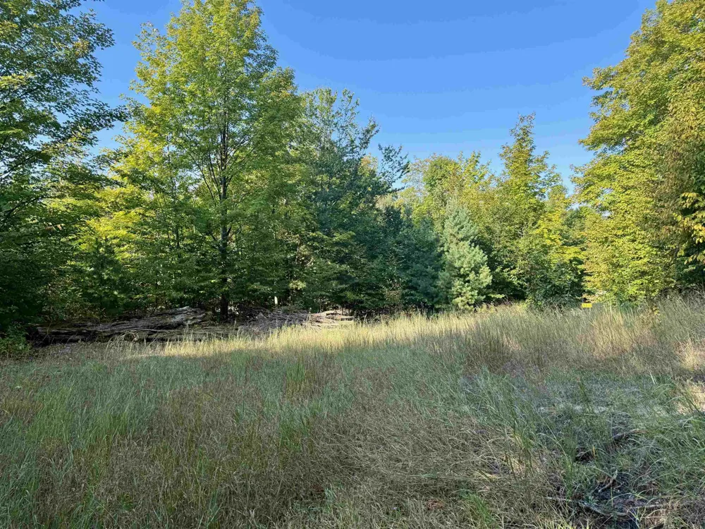W Timber Wolf Court Empire Township, MI 49630