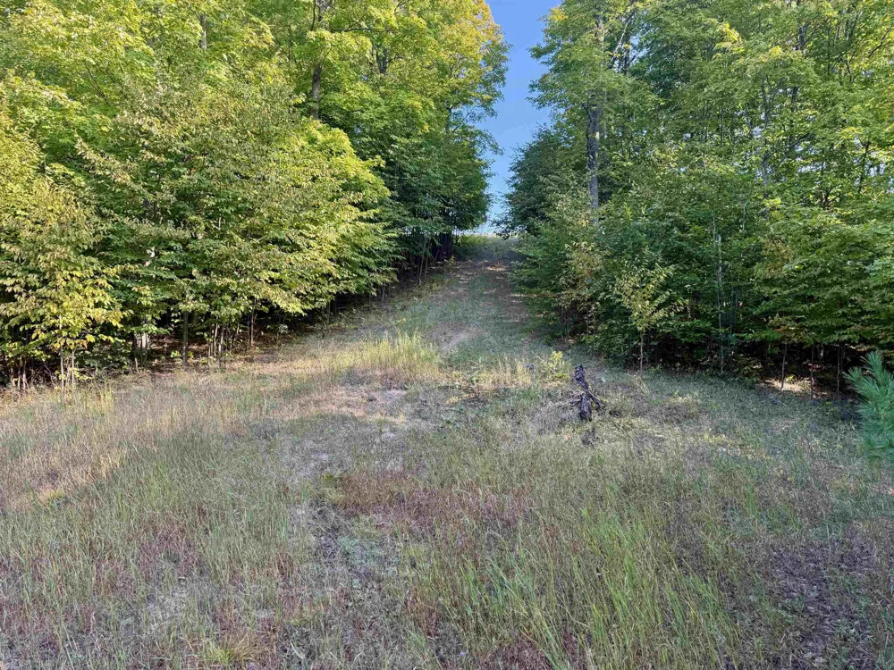 W Timber Wolf Court Empire Township, MI 49630