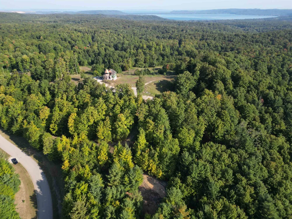 W Timber Wolf Court Empire Township, MI 49630