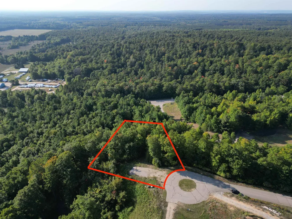 W Timber Wolf Court Empire Township, MI 49630