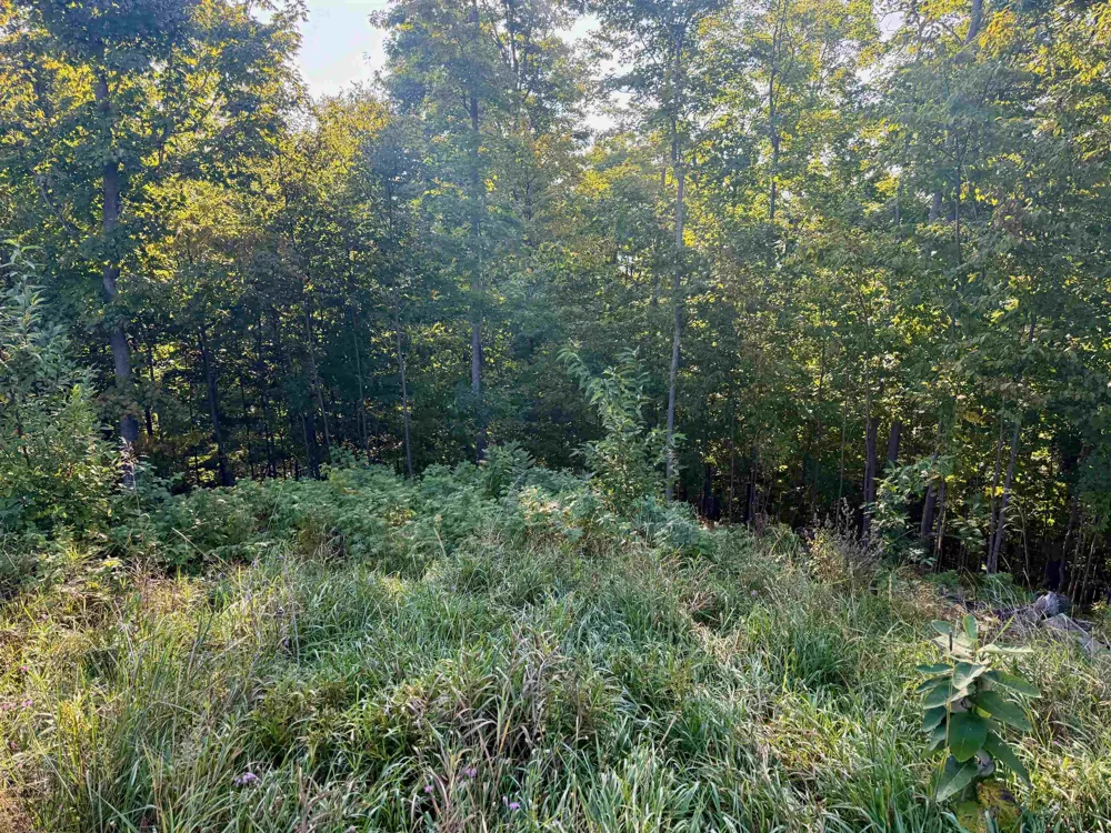 W Timber Wolf Court Empire Township, MI 49630