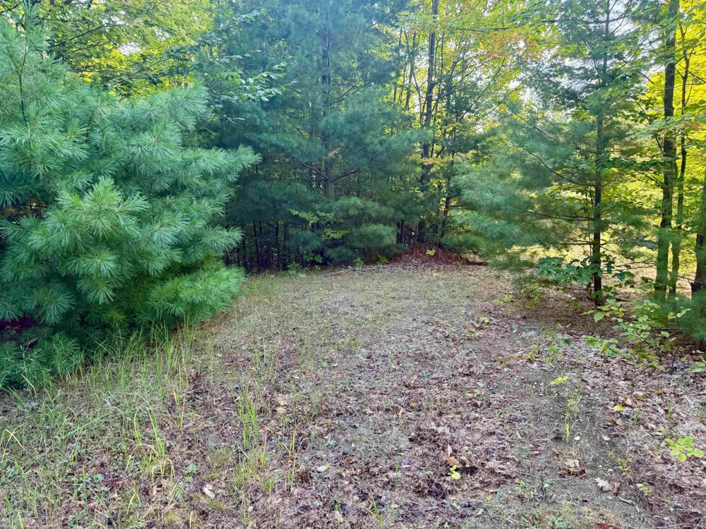 W Timber Wolf Court Empire Township, MI 49630