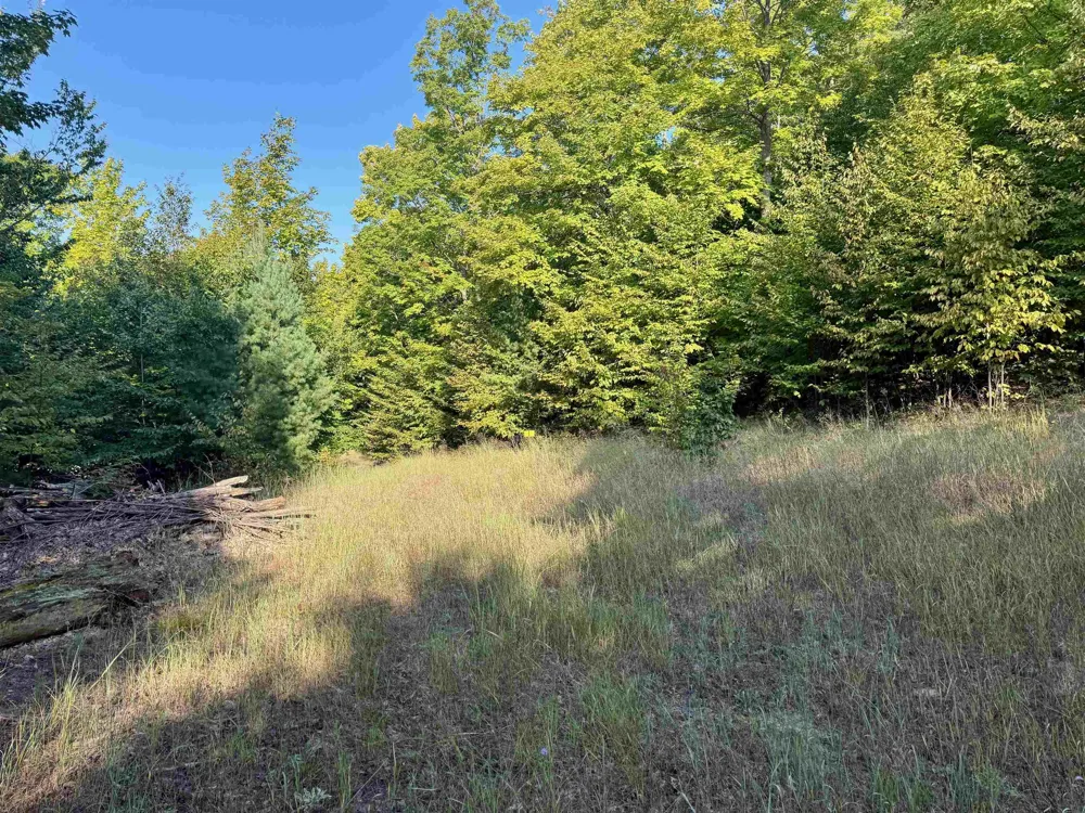 W Timber Wolf Court Empire Township, MI 49630