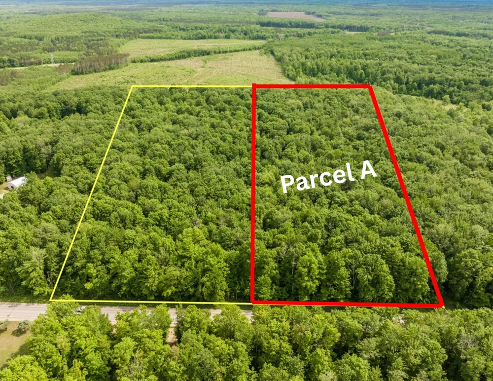 Mancelona Road Mancelona Township, MI 49659