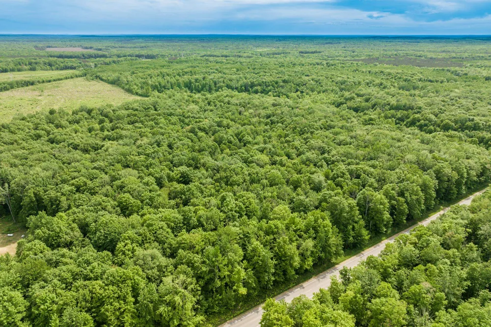 Mancelona Road Mancelona Township, MI 49659