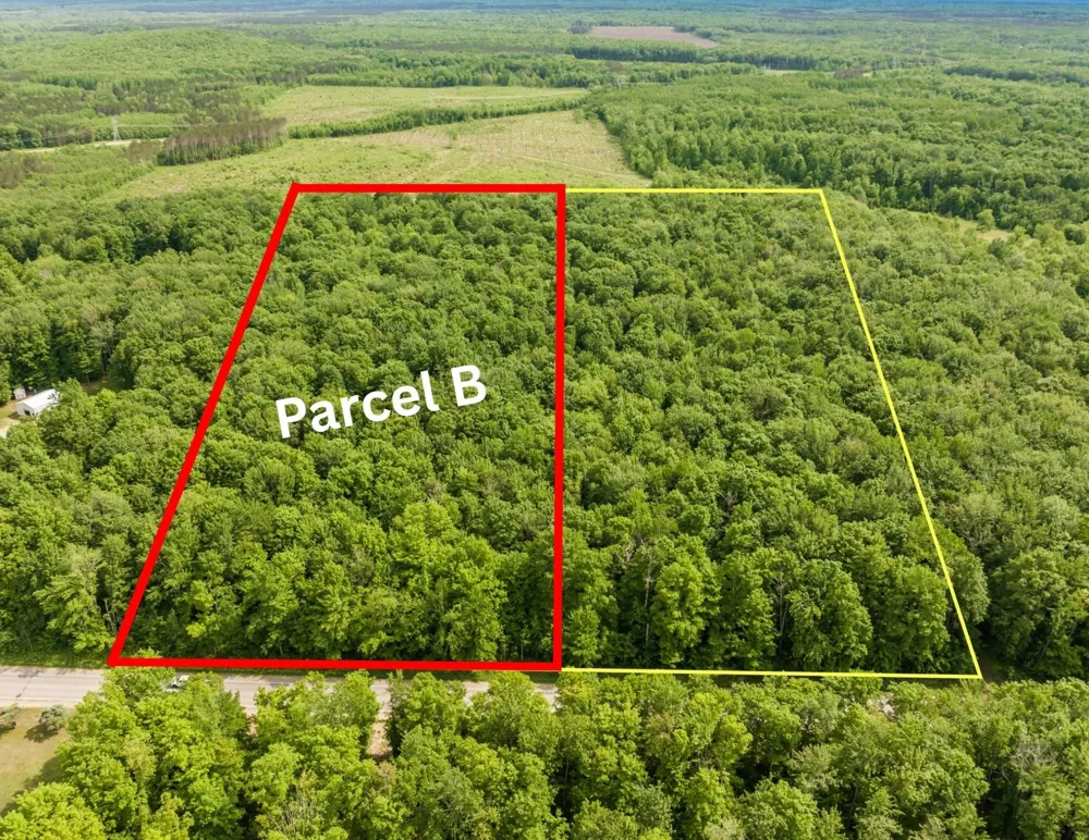 Mancelona Road Mancelona Township, MI 49659