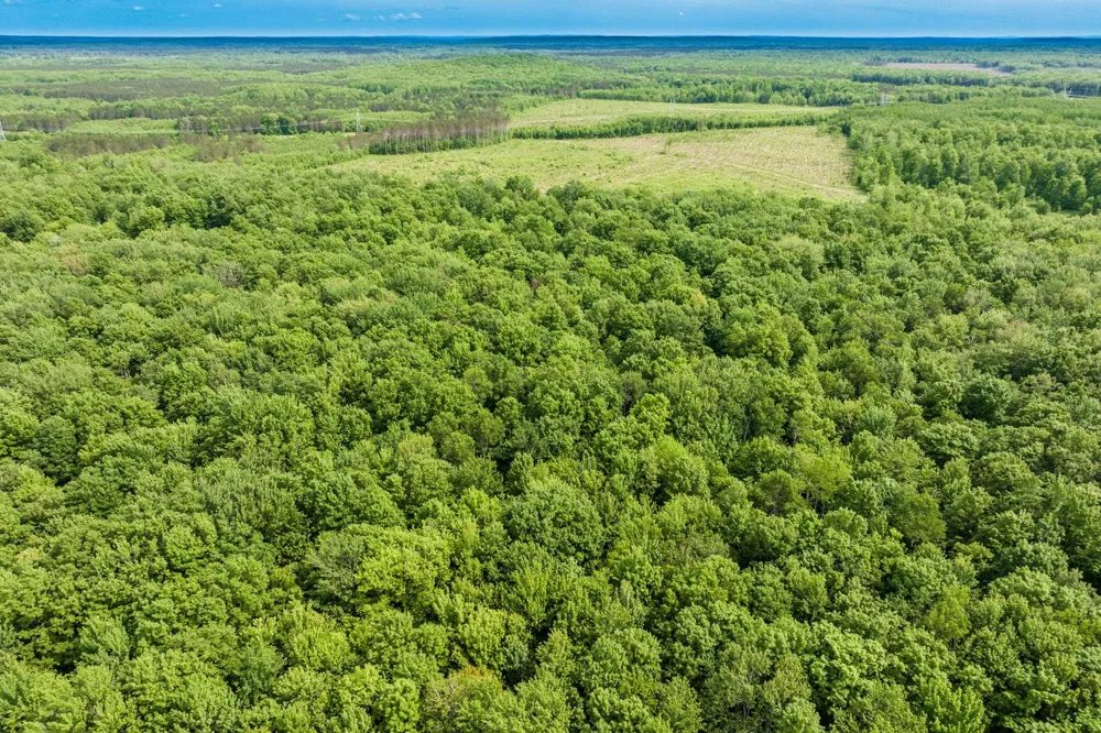 Mancelona Road Mancelona Township, MI 49659