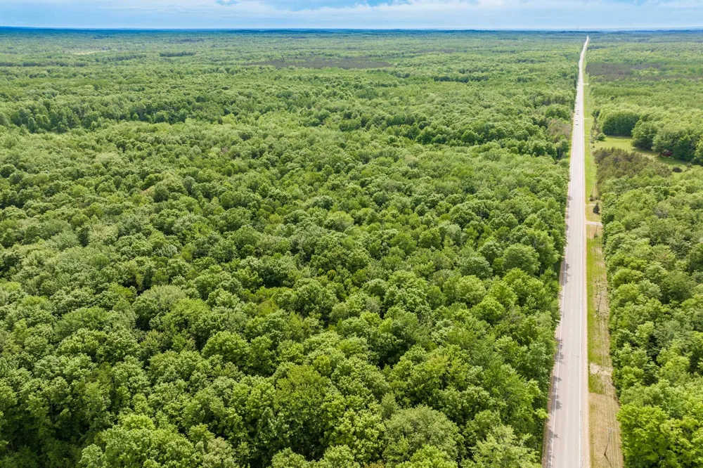 Mancelona Road Mancelona Township, MI 49659
