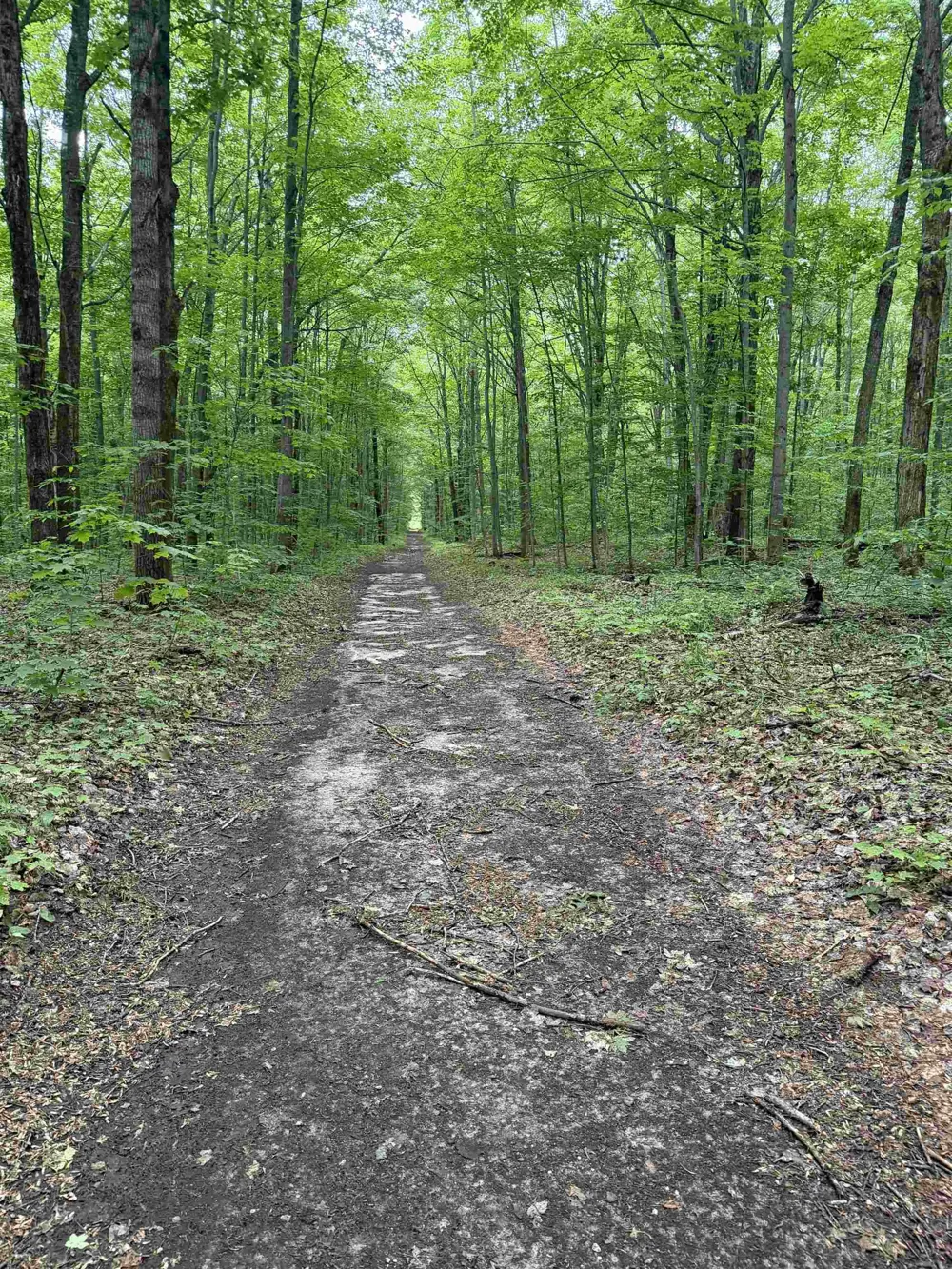 Mancelona Road Mancelona Township, MI 49659