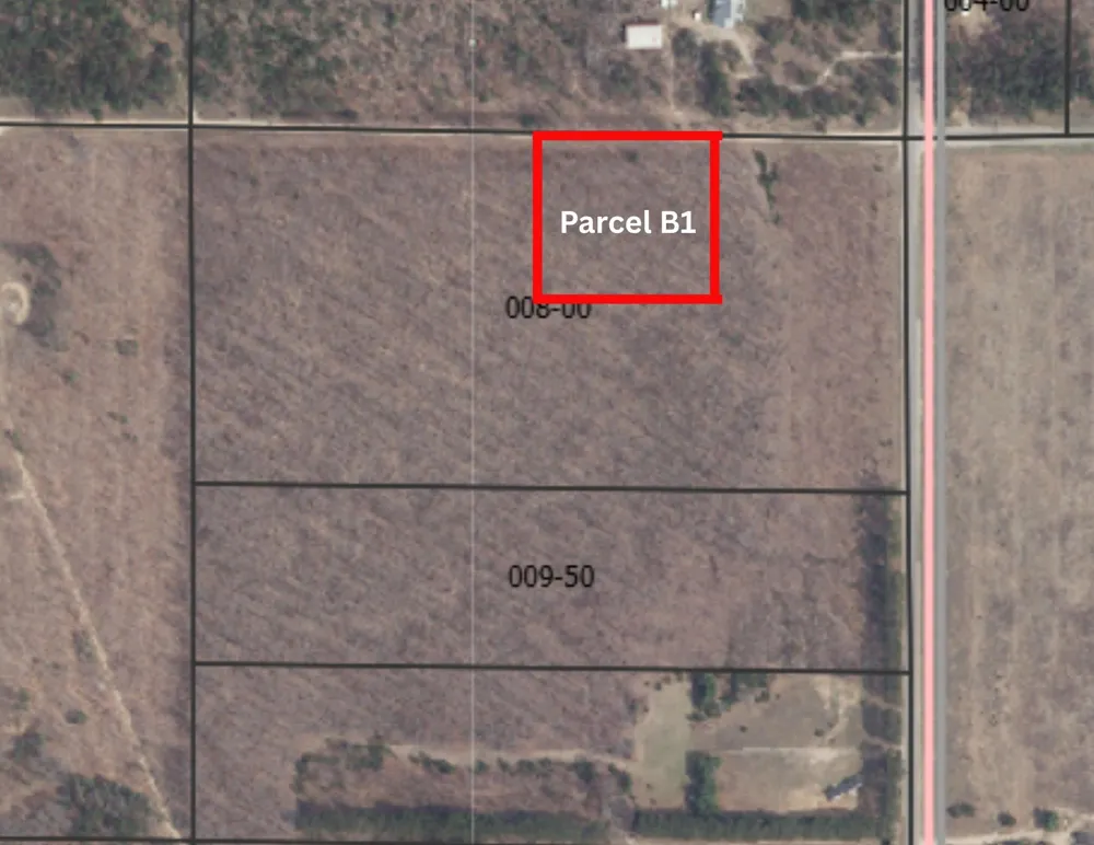 Peterson Road Custer Township, MI 49659