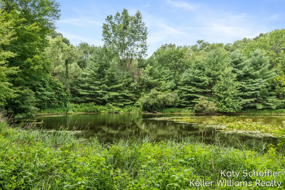 6065 W Back Forty Drive NE Cannon Township, MI 49306
