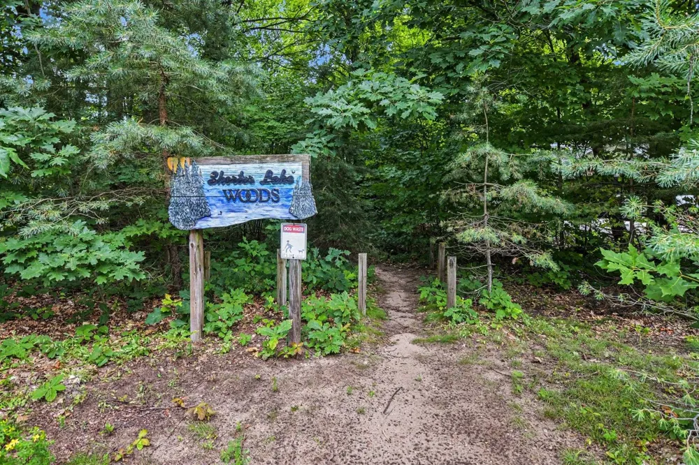 9307 Evergreen Drive Almira Township, MI 49684