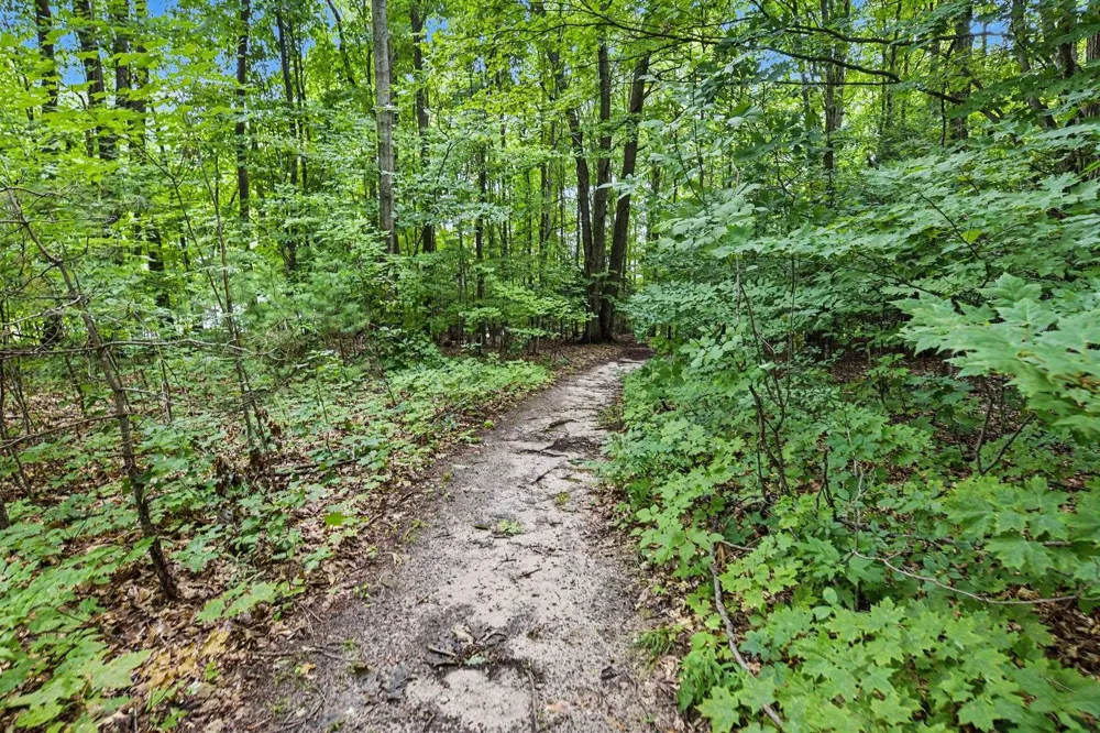 9307 Evergreen Drive Almira Township, MI 49684