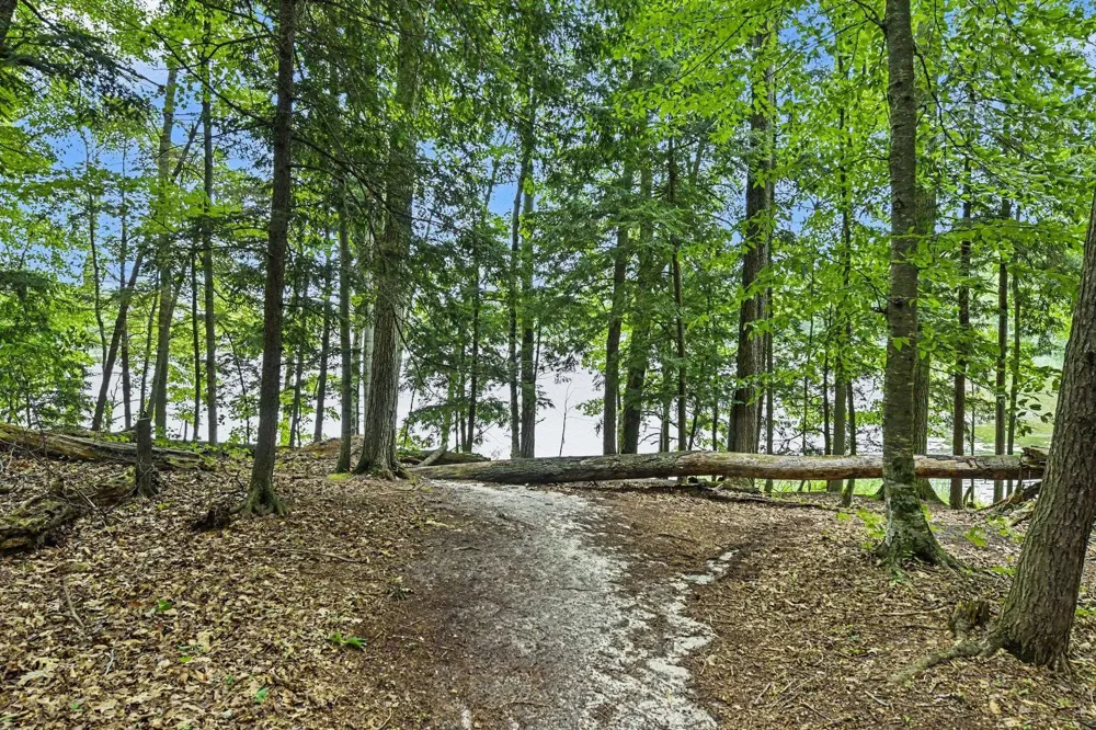 9307 Evergreen Drive Almira Township, MI 49684