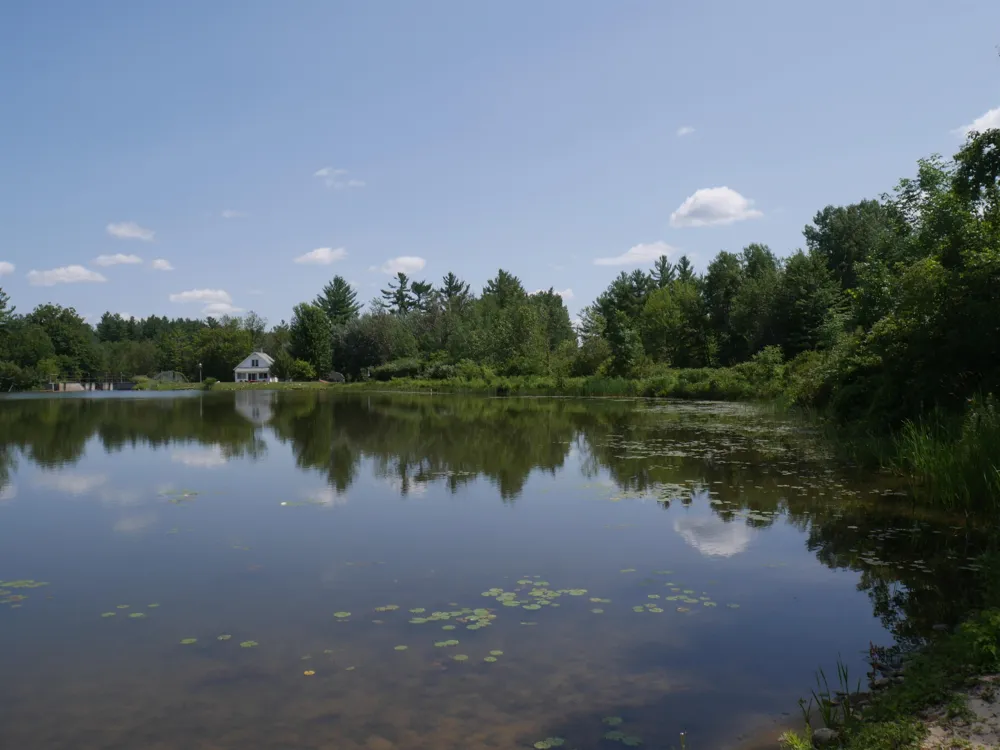 2539 Highland Trail West Branch Township, MI 48661