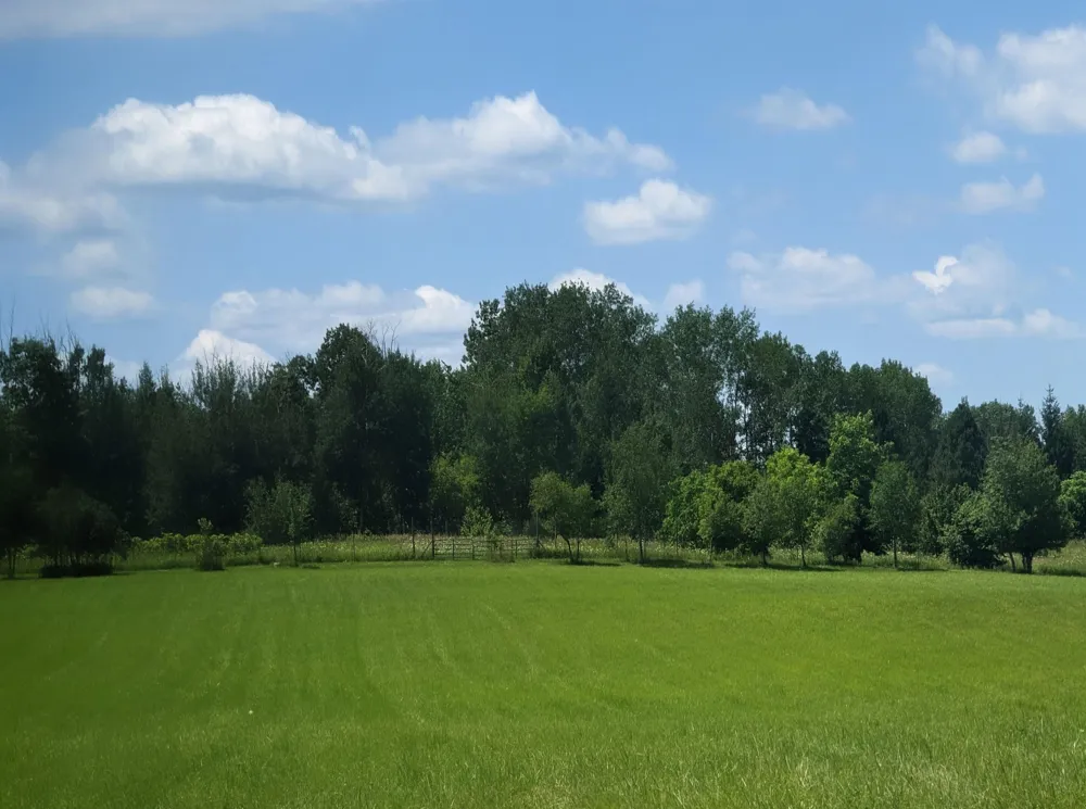1177 Melita Road Clayton Township, MI 48659