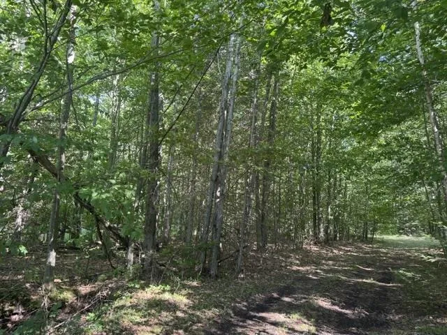 Phelps Road Norwich Township, MI 49651
