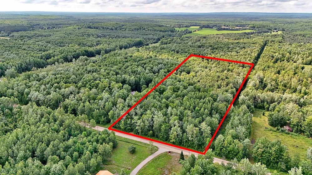 Phelps Road Norwich Township, MI 49651