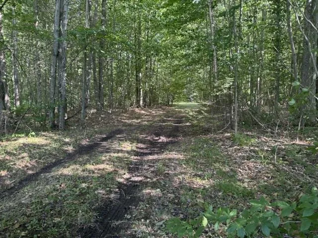 Phelps Road Norwich Township, MI 49651