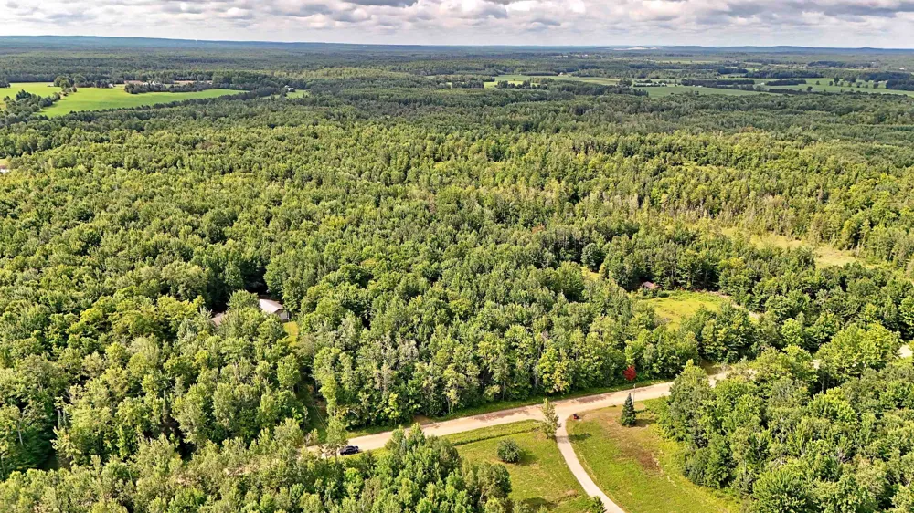 Phelps Road Norwich Township, MI 49651