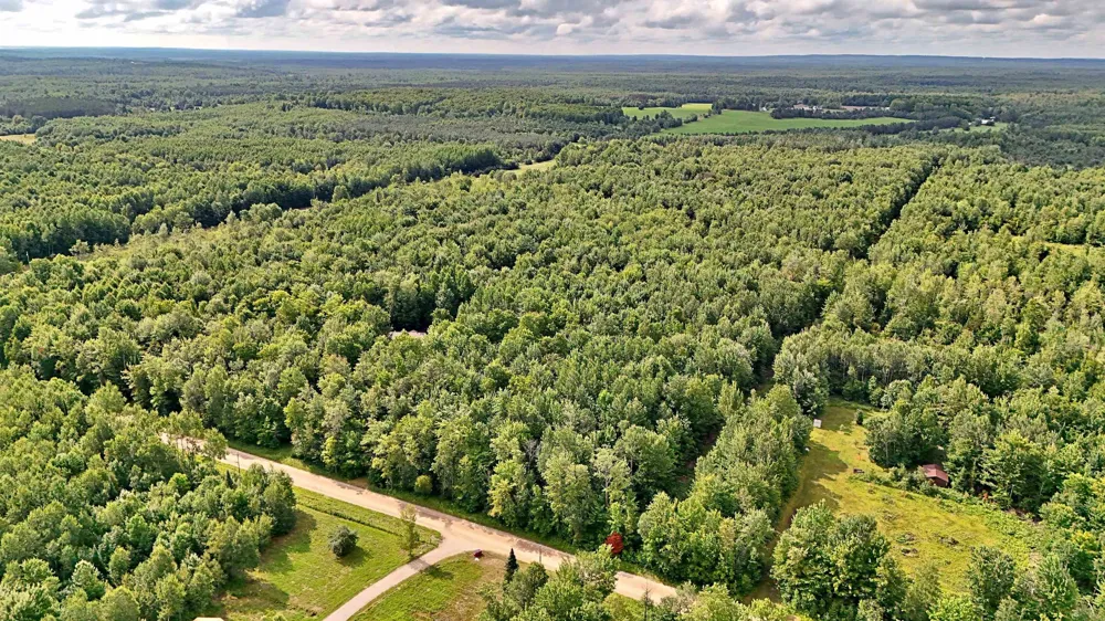 Phelps Road Norwich Township, MI 49651