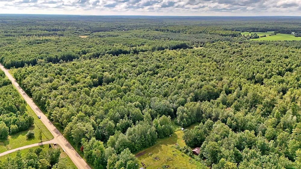 Phelps Road Norwich Township, MI 49651