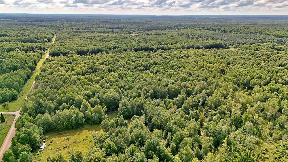 Phelps Road Norwich Township, MI 49651