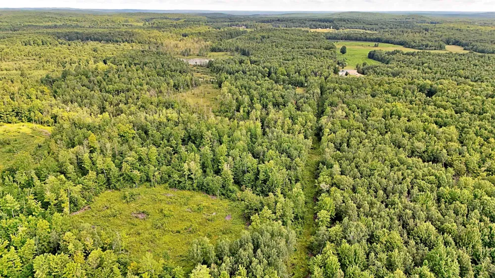 Phelps Road Norwich Township, MI 49651