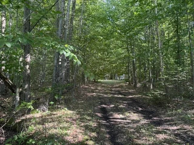 Phelps Road Norwich Township, MI 49651