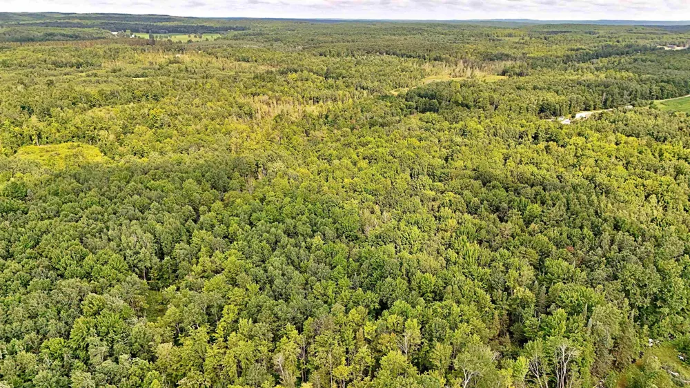 Phelps Road Norwich Township, MI 49651