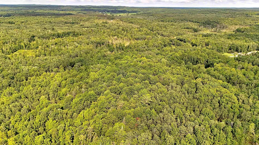 Phelps Road Norwich Township, MI 49651