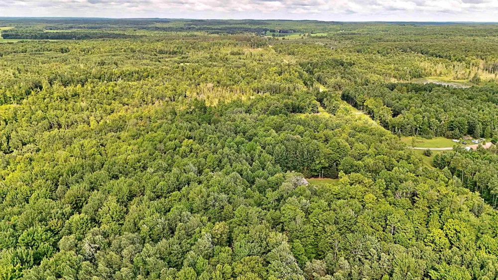 Phelps Road Norwich Township, MI 49651