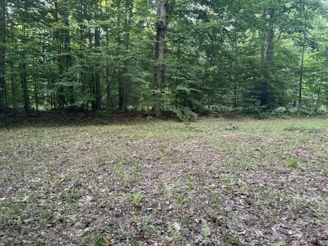 Phelps Road Norwich Township, MI 49651
