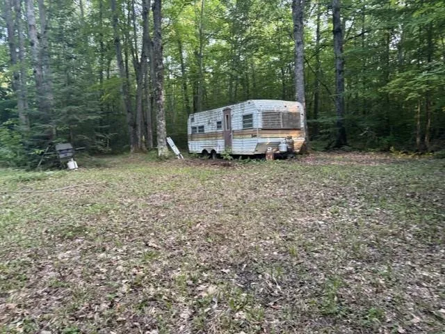 Phelps Road Norwich Township, MI 49651